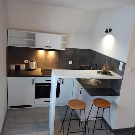 Apartament Z Widokiem Na Gory U Bronka Ciche Male Exterior photo